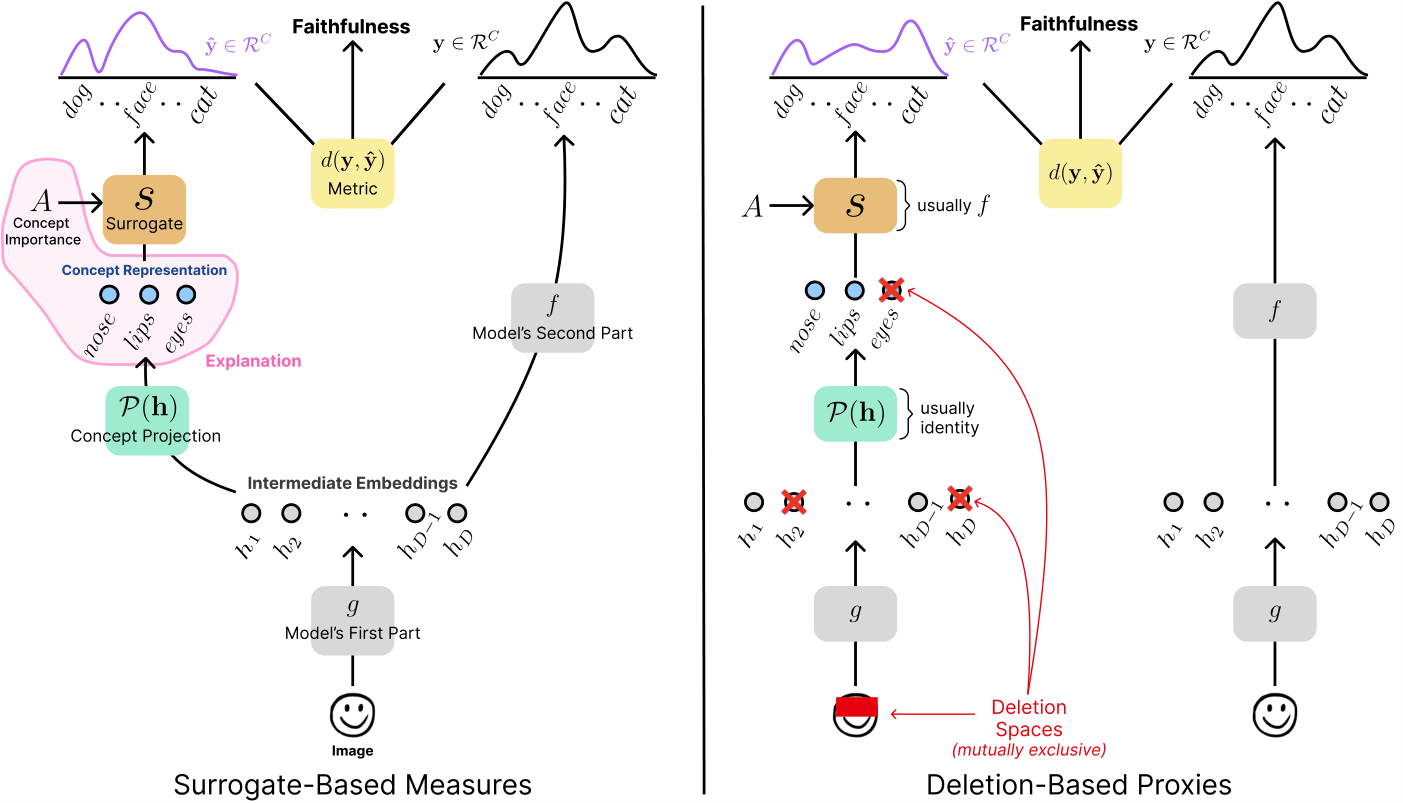 Unified faithfulness framework comparing surrogate-based measures and deletion-based proxies
